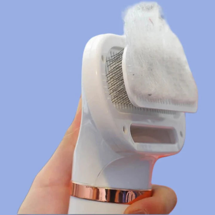 SecaPet (Cepillo Secador Mascota)