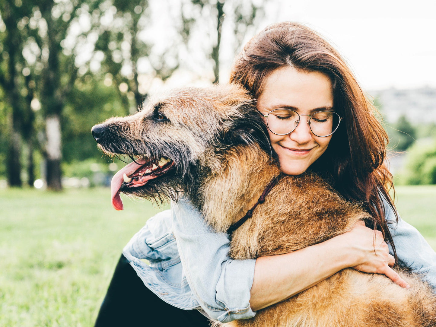 Pet Comfort Spray™ (Ambientador)