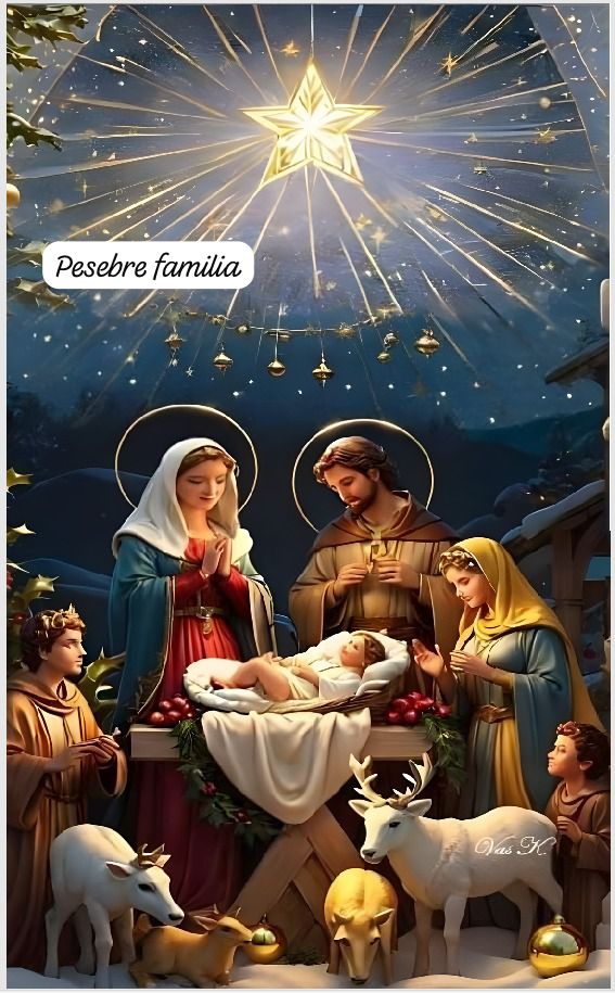 Fundas Navideñas Para Puertas