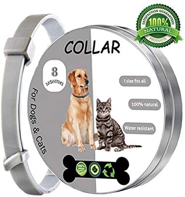 Collar saludcan (Paga 2 lleva 3 X $119.800)