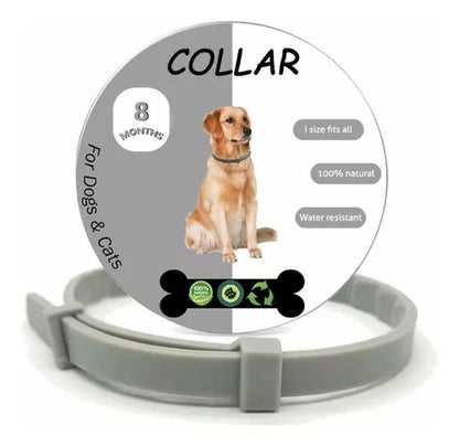 Collar saludcan (Paga 2 lleva 3 X $119.800)