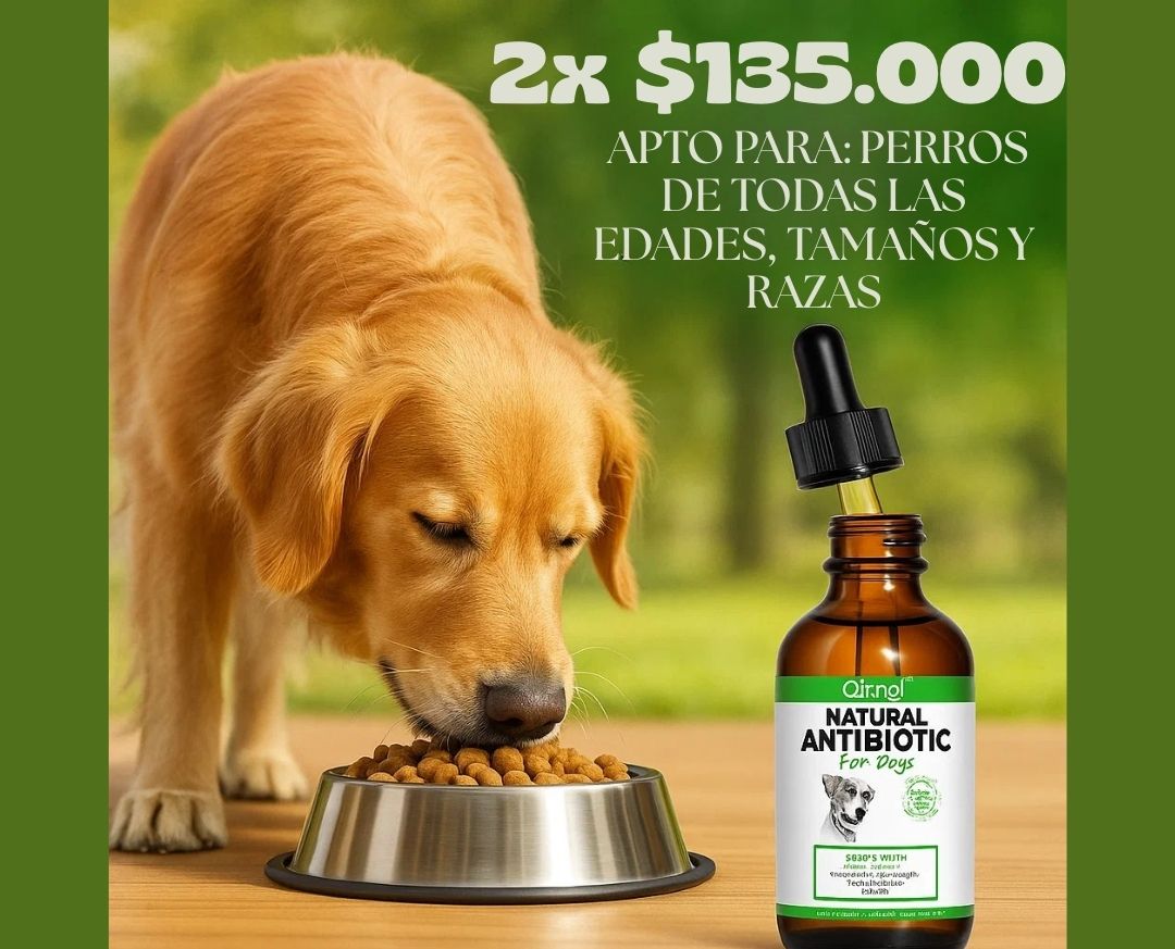Antibiotico Immal Para Mascotas