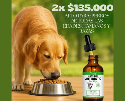 Antibiotico Immal Para Mascotas