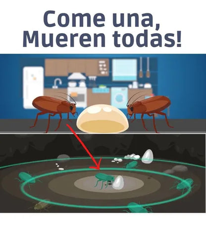 Gel Mata Cucarachas