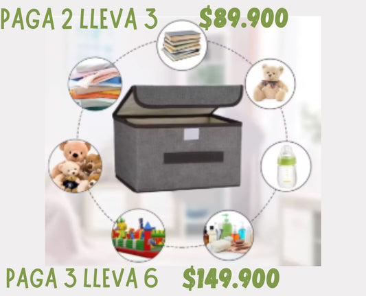 Cajas Organizadoras ( Paga 2 Lleva 3 )