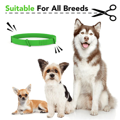 Collar saludcan (Paga 2 lleva 3 X $119.800)