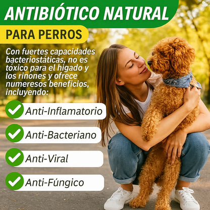 Antibiotico Immal Para Mascotas