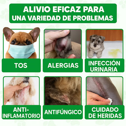 Antibiotico Immal Para Mascotas